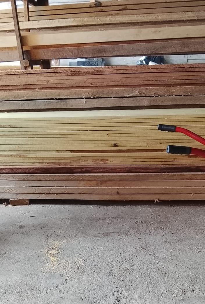 Berita Investigasi: Diduga Pengusaha Penampungan Kayu Alam di Lingga Tiga Pasar Belakang Kebal Hukum